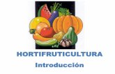 HORTIFRUTICULTURA Introducción · PDF fileHORTICULTURA Definición: El Diccionario de la Real Academia Española de la Lengua (1993) define a las hortalizas como "plantas comestibles