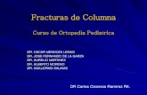 Curso de Ortopedia Pediatrica - · PDF fileCurso de Ortopedia Pediatrica DR. OSCAR MENDOZA LEMUS DR. JOSE FERNANDO DE LA GARZA DR. ... Los inmovilizadores se dividen en rígidos y