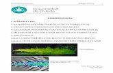 Área de Mecánica de Fluidos - Kimerius Aircraftkimerius.com/app/download/5782492050/Turbulencia.pdf · por ser permanente y porque las líneas de corriente son paralelas a las ...