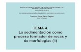 TEMA 4. La sedimentación como proceso formador de rocas · PDF fileGuión del tema • La estratificación: estratos y geometría de los cuerpos sedimentarios. • Las estructuras