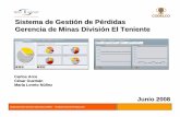 Sistema de Gestión de Pérdidas Gerencia de Minas División ... · PDF file- Módulo de control estadístico de procesos que permite medir y controlar la calidad de los procesos.