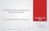 LEGISLACIÓN AMBIENTAL EN GUATEMALAguatemala.ahk.de/uploads/media/Presentacion_GPM... · EN GUATEMALA Ana Gabriela Platero Midence . ... (Decreto 68-86) • Sistemas del Medio Ambiente