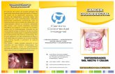 Colon prevenirse? CANCER COLORRECTALcentrocolorectal.com/pdf/cancer-colorectal-2016.pdf · ENFERMEDADES DEL RECTO Y COLON INFORMACION PARA PACIENTES CANCER COLORRECTAL ¿Puede el