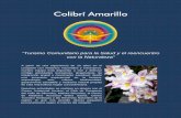 Colibrí Amarillo - · PDF fileEl aeropuerto más cercano se encuentra en la ciudad de Pasto (Nariño); desde ahí se ... COLIBRI AMARILLO Disfrutando Plenamente el Néctar de la Vida