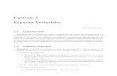 Cap´ıtulo 1 Espacios Vectoriales - webdelprofesor.ula.vewebdelprofesor.ula.ve/ciencias/hector/pdfs/notas01.pdf · Cap´ıtulo 1 Espacios Vectoriales (4 de Abril de 2003) 1.1. Introducci´on