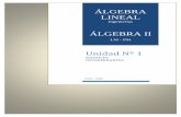 ÁLGEBRA LINEALalgebra-lineal.webs.com/unidad1.pdf · Álgebra II (LM-PM)-Álgebra Lineal (Ings.)-F.C.E. y T.-UNSE Unidad 1 1 1.- INTRODUCCIÓN ESTRUCTURAS ALGEBRAICAS de GRUPO y