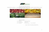 PLAN DE NEGOCIO PRODUCCIÓN Y COMERCIALIZACION DE · PDF file1 plan de negocio producciÓn y comercializacion de cafÉ organico en aprocam- bagua ubicaciÓn región: amazonas provincia: