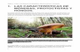 1. LAS CARACTERÍSTICAS DE MÓNERAS, …ies-claracampoamor.centros.castillalamancha.es/sites/ies... · El reino de los hongos es uno de los cinco en los que se clasifican los seres
