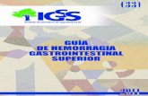 Instituto Guatemalteco de Seguridad Social - igssgt.org 33 HGS.pdf · resume lo más relevante de la entidad con relación a 4 aspectos: 1. La definición de la entidad, 2. Como se
