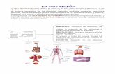 EL MÉTODO CIENTÍFICO - · PDF fileResume en un cuadro las partes del aparato digestivo y la función que desempeñan: Glándulas anejas PARTES TUBO DIGESTIVO Función GLÁNDULAS