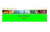 SERIE TERCERA ALQUIMIA - La Puertalapuertaonline.es/T9B 1993 ALQUIMIA.pdf · ta hermético pueden servir ai lector atento para reconocer el tesoro inestimable que ... la afirmación