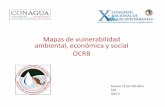 Mapas de vulnerabilidad ambiental, económica y social OCRB · PDF fileGrado de explotación de las cuencas (adim.)(CONAGUA)* Deforestación (% de área critica ... Mapeo de los índices,
