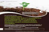 Área de Ecología Aplicada CARACTERIZACIóN AGROLóGICA · PDF filecording to soil taxonomy, ... en condiciones lacustres y que los suelos de la ... descripción de sus horizontes,