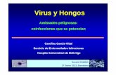 Virus y Hongos - Home | Acadèmia de Ciències Mèdiques i ... · PDF filecausa del trasplante, infecciones asociadas (sepsis bacteriana, VHH6, VHC). Factores de riesgo para candidiasis