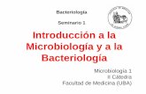 Bacteriología Seminario 1 Introducción a la Microbiología ... · PDF fileAPLICACIONES DE LA MICROBIOLOGIA ... Alimentos refrigerados: Aves, Vegetales, Pescados y mariscos, etc.