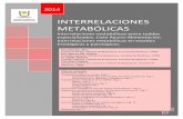 INTERRELACIONES METABÓLICAS - Facultad de · PDF file0 INTERRELACIONES METABÓLICAS Interrelaciones metabólicas entre tejidos especializados. Ciclo Ayuno-Alimentación. Interrelaciones