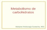 Metabolismo de carbohidratos - Por Gus Fallas y Chris Bauer · PDF fileAlgunas vías metabólicas Anabólicas Síntesis Síntesis de • ác. grasos –Triglicéridos –Glicerofosfolípidos