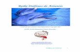CURSO Delfines de Atlantisapi.ning.com/files/18EdQ-4*LNu7iQpmdhz452k44LlUfyploc5g2r4yvGB7... · cabo las curaciones esenciales y la comunicación con los atlantes. A pesar de que