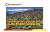 NOVIEMBRE 2010 DISPOSICION DE RELAVES EN · PDF file• En Cabildo Minera Las Cenizas, ... construirlo ante la oposición de la comunidad • Ante ese escenario, se estudian alternativas