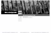 08 PDmat 4Aeso t07 - editorialrubinos · PDF fileBLOQUE III Geometría 7. Semejanza 8. Geometría analítica
