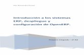 Introducción a los sistemas ERP, despliegue y ...informatica.gonzalonazareno.org/proyectos/2012-13/paf.pdf · Ejemplo: Ventas, Materiales, Finanzas, Control de Almacén, etc. Adaptables.