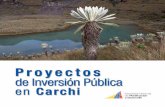 Proyectos de Inversión Pública en  · PDF filede los habitantes de la Frontera Norte Proyecto 21. Ubicación Carchi, Esmeraldas y Sucumbíos Inversión USD 500 mil