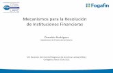 Mecanismos para la Resolución de Instituciones Financieras · PDF fileVIII Reunión del Comité Regional de América Latina (CRAL) ... Administración del seguro de depósitos Resolución