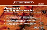 Instituto Interamericano de Cooperación para la Agricultura Seguro ...unpan1.un.org/intradoc/groups/public/documents/icap/unpan045113.pdf · considerar los procesos y alcances de