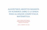 ALGORITMOS ABIERTOS BASADOS EN NÚMEROS O  · PDF filede maestría en el uso del algoritmo ABN, nos
