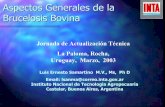 Aspectos Generales de la Brucelosis Bovina · PDF fileBrucelosis Bovina. Jornada de Actualización Técnica. La Paloma, Rocha, Uruguay, Marzo, 2003. Luis ... LPS, cadena O, proteínas