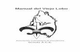 Manual del Viejo Lobo - · PDF filede pertenecer a una Manada de Lobatos la cual es parte integral de la Hermandad ... Habrás de tener muchas aventuras, excitantes juegos e inolvidables