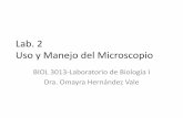 Lab. 2 Uso y Manejo del Microscopio · PDF file · 2015-09-03Uso y Manejo del Microscopio ... aumento en tamaño de la imagen observada • Lentes oculares y lentes objetivos: ...