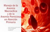 Manejo de la Anemia Macrocítica en Atención Primaria · PDF fileManejo de la Anemia Macrocítica y de la Anemia Perniciosa en Atención Primaria OLIVER TOSTE-BELLO DORTA R4 MFYC
