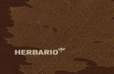 HERBARIO es un restaurante ubicado en una bodega, en …elherbario.com/carta/herbario-carta.pdf · HERBARIO es un restaurante ubicado en una bodega, en donde ... Puntas de solomito