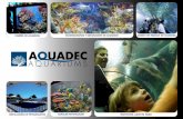 DISEÑO DE ACUARIOS ESCENOGRAFÍAS Y · PDF fileFaunia Parque Biológico de Madrid S.A. Projecto y ejecución de acuario de arrecife, acuario anguila y cuarentena marino PR/TK 2008