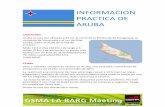 INFORMACION PRACTICA DE ARUBA - gsma.com · PDF fileParque marino con 20 acuarios y 3 grandes estanques con leones de mar, flamencos y tiburones