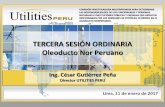 Oleoducto Nor Peruano - · PDF fileTERCERA SESIÓN ORDINARIA Oleoducto Nor Peruano Ing. César Gutiérrez Peña Director UTILITIES PERU Lima, 11 de enero de 2017 COMISIÓN INVESTIGADORA