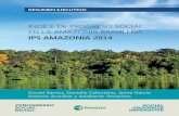 INDICE DE PROGRESO SOCIAL EN LA AMAZONIA · PDF fileevaluaba en base a índices que sufren el impacto ... tico más detallado del progreso social y ambiental ... Agua y Saneamiento