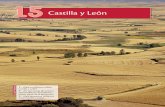 Castilla y León - oupe.es · PDF filede cultivo, pastos, etc., lo que ha hecho desaparecer la vegetación natural. Castilla y León es una comunidad rica en paisajes; se pueden distinguir