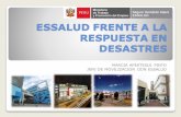 ESSALUD FRENTE A LA RESPUESTA EN DESASTRES=/MTUz/fil... · Lima (Red Almenara) 23 1,376,209 1,426 Lima (Red Rebagliati) 19 1,338,889 1,584 ... RED ASISTENCIAL JUNIN 41 PACIENTES ATENDIDOS