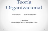 Teoría Organizacional -  · PDF filecontenido: organización definiciÓn. caracterÍsticas. tipologÍa. miembros. sistematizaciÓn. jerarquÍa. finalidad. requisitos. clases