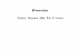 Poesía San Juan de la Cruz - · PDF fileVerbum» acerca de la Sanctíssima Trinidad Otro del mismo que va por «Super flumina ... y no toquéis al muro, ... que andando enamorada
