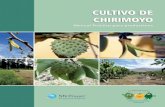 CULTIVO DE CHIRIMOYO - · PDF fileControl de plagas y enfermedades ... Hacer una selección de plantas de chirimoyo para su estable-cimiento en el campo deﬁnivo, desechando aquellas