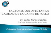 Dr. Carlos Narciso Gaytán - usapeec.org.mxusapeec.org.mx/publicaciones/presentaciones/pdf/factores_que... · Tiempo de refrigeración de la canal para completar el rigor mortis,