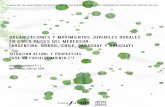 ORGANIZACIONES Y MOVIMIENTOS JUVENILES …jovenesenmovimiento.celaju.net/wp-content/antecedentes/12.pdf · declinaron sostenidamente en el periodo 1998–2003 en todos los países