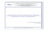 REPÚBLICA BOLIVARIANA DE VENEZUELA · PDF fileoptimizaciÓn del tiempo de cadencia para el laminado de planchones largos en la linea de laminaciÓn en caliente de la siderÚrgica