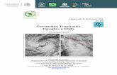 Tormentas Tropicales Douglas y Elida - langif.uaslp.mxlangif.uaslp.mx/documentos/AlertaClimatica/TTs_Douglas-Elida.pdf · encuentran en Colima y Michoacán; no obstante los cultivos