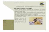 Fundación Real Escuela Andaluza del Arte Ecuestre · PDF fileestrenados para la ocasión y que han sido fabricados artesa-nalmente en la Guarnicionaría de la Institución. ... el