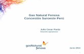 Gas Natural Fenosa Concesión Suroeste Perú - · PDF fileIlo . Tacna . Situación geográfica . 9 Cadena del gas natural Sectores de la concesión Residencial . ... recuperación