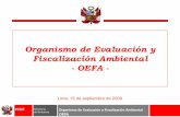 Organismo de Evaluación y Fiscalización Ambiental - · PDF filedel Ambiente Organismo de Evaluación y Fiscalización Ambiental OEFA Lima, 15 de septiembre de 2009 ... • 16.Oct.2005: